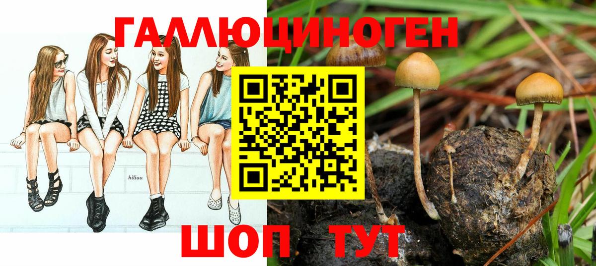 Псилоцибиновые грибы MAGIC MUSHROOMS Барабинск