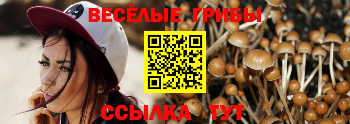 Галлюциногенные грибы MAGIC MUSHROOMS  Вход с VPN  Барабинск 